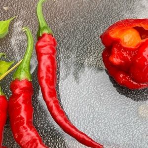 Meet your Posher, Bj